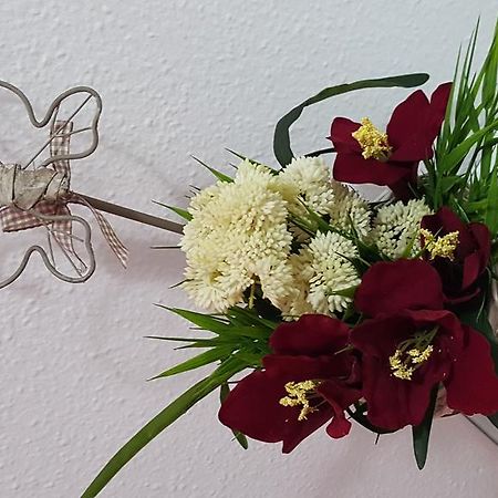 Hostal El Parque San Martín de la Vega Zewnętrze zdjęcie